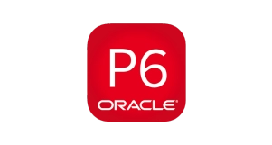 A red square icon with rounded corners displays P6 in large white letters above the white Oracle logo on a light gray background.
