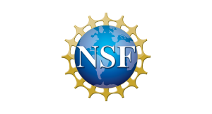The NSF logo: a blue globe with white NSF letters in front, surrounded by a gold gear-like border.
