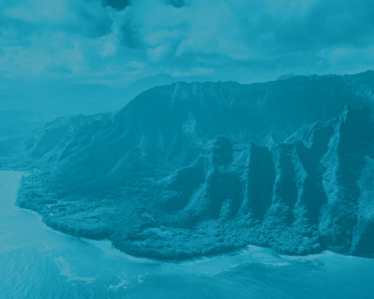 Aerial view of a rugged coastline with lush green mountains and a winding shoreline, under a cloudy sky, tinted blue.