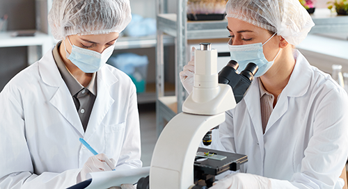 Two scientists in lab coats, hairnets, and masks work in a laboratory. One looks into a microscope, while the other takes notes on a clipboard. Shelves with lab equipment are visible in the background.