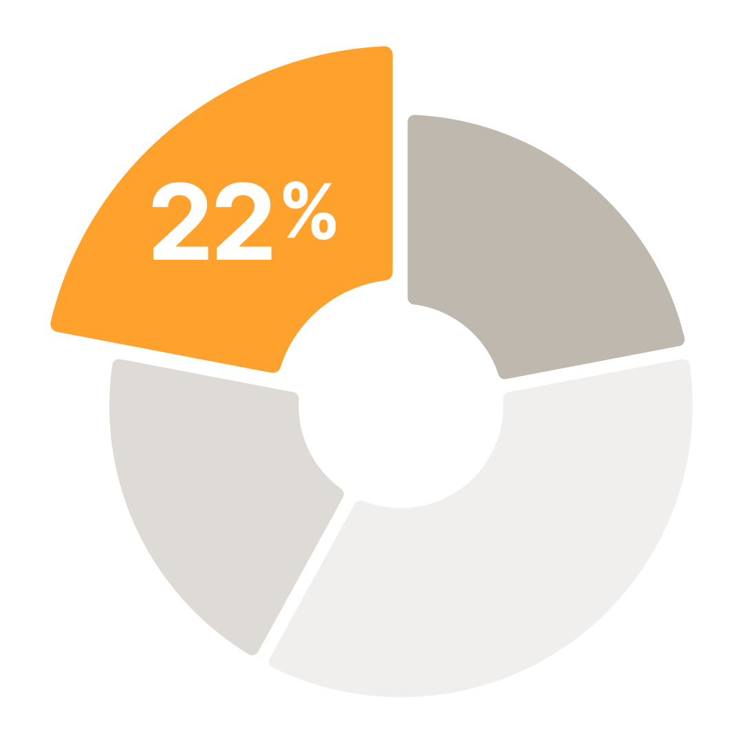 A circular pie chart with one orange segment labeled 22% and the remaining three segments in light gray.